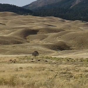 Meet your Posher, Tina